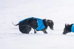 Non-stop Dogwear Non Stop Dogwear Alpha Pro Jacket Blauw -Sport Verkoop 0150136e64214142a134f0295ae49142aadf4f1c
