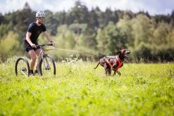 Non-stop Dogwear Non Stop Dogwear Freemotion Harnas 5.0 FEL ORANJE -Sport Verkoop 0348a03c0add44c277f7c07dcc9e225ccf3ff57d