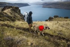 Ruffwear Palisades Pack Rugzak Red Sumac 2.0 -Sport Verkoop 0bb967e4fc1cb98db5f4b00ed06ba9d34c0a76c1