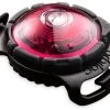 Orbiloc Dog Dual Light Roze -Sport Verkoop 0e0905ef1587851eb6183d661e7b3ac4b1f4c5a0