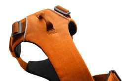 Ruffwear Front Range Harnas Campfire Orange -Sport Verkoop 12c5d6fdaf8f681a4c6b28acd6d927956d2f0230