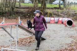 Pinewood Abisko/Brenton Broek Dames Zwart (400) 13 Pinewood Abisko/Brenton Broek Dames Zwart (400) -Sport Verkoop 1645e148374c8c31bae315d7232af5ba2c636254