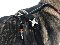 Non-stop Dogwear Non Stop Dogwear Line Harnas Zwart -Sport Verkoop 167ac8cab496f09900cf3c32d1df03d7c58cf665 1