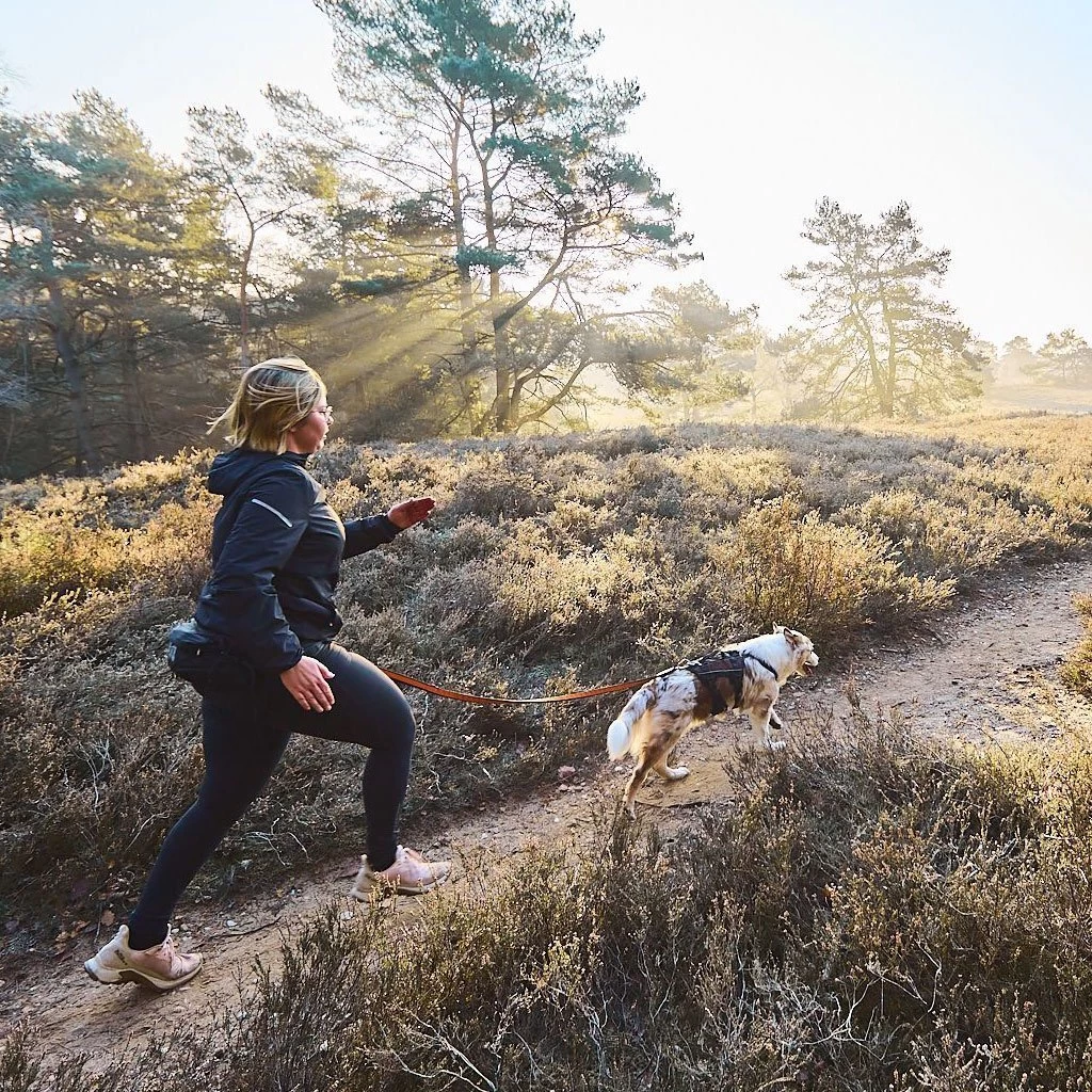 Non-stop Dogwear Non Stop Dogwear Rock Harnas LONG 6 Non-stop Dogwear Non Stop Dogwear Rock Harnas LONG - Afbeelding 4