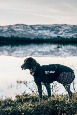 Non-stop Dogwear Non Stop Dogwear Pro Raincoat Regenjas -Sport Verkoop 1c0363c0f1853baeb891f79c00794a5f0b7d1b9d