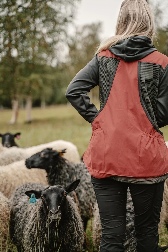 Pinewood Hondensport Vest Dames Rusty Pink / Antraciet (596) 2.0 5 Pinewood Hondensport Vest Dames Rusty Pink / Antraciet (596) 2.0 - Afbeelding 3