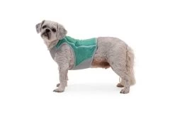 Ruffwear Swamp Cooler Zip Cooling Dog Vest Aurora Teal -Sport Verkoop 1ccecea01d524aa290c72a00c4226ac26d3e520d