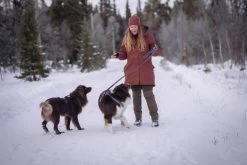 Pinewood Finnveden Hybrid Extreme Broek Dames Olijfgroen / Jachtgroen (723) Normaal En Ook In Korte Lengtemaat 15 Pinewood Finnveden Hybrid Extreme Broek Dames Olijfgroen / Jachtgroen (723) Normaal En Ook In Korte Lengtemaat -Sport Verkoop 1ded0f1e38c052b135efa3f9834078293db3f426