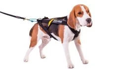 Non-stop Dogwear Non Stop Dogwear Freemotion Harnas ZWART -Sport Verkoop 1e0216f47e62ea9250ba4bf31619a30bee898b50