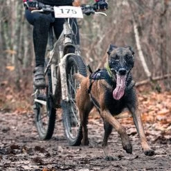 Non-stop Dogwear Non Stop Dogwear Freemotion Harnas ZWART -Sport Verkoop 20ac64945aa048c7eade5626bc67e3d0fbbf9007