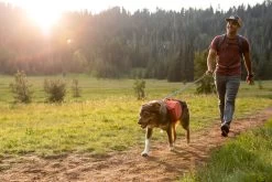 Ruffwear Switchbak Leash Grijs -Sport Verkoop 2415b351646175b09deb801b403ad173db8cdeb9