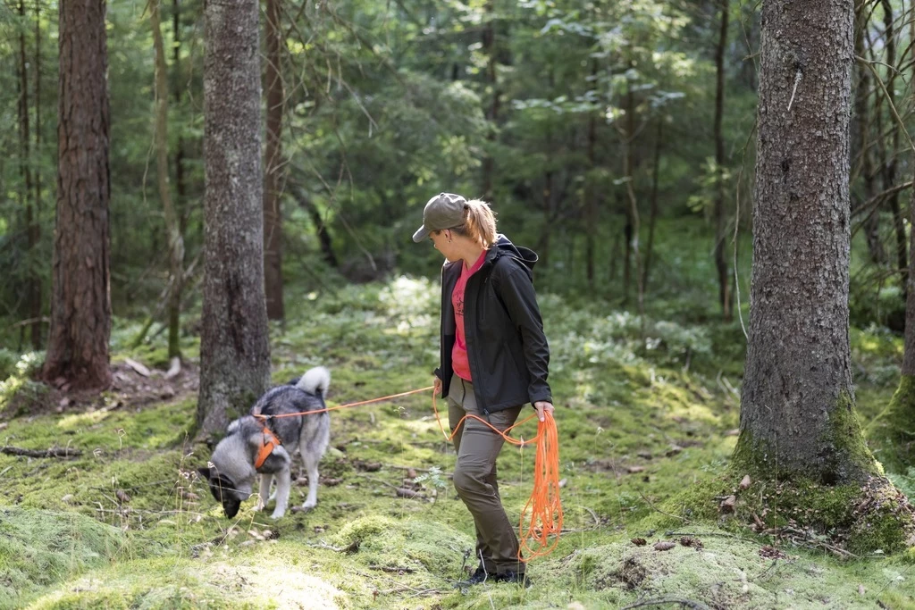 Pinewood Finnveden Hybrid Extreme Broek Dames Olijfgroen / Jachtgroen (723) Normaal En Ook In Korte Lengtemaat 10 Pinewood Finnveden Hybrid Extreme Broek Dames Olijfgroen / Jachtgroen (723) Normaal En Ook In Korte Lengtemaat - Afbeelding 8