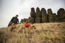 Ruffwear Palisades Pack Rugzak Red Sumac 2.0 -Sport Verkoop 316c3d7d90e9630897d43dc60ca01683ffdf1eb1