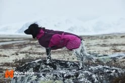 Non-stop Dogwear Non Stop Dogwear Glacier Jacket Paars 11 Non-stop Dogwear Non Stop Dogwear Glacier Jacket Paars -Sport Verkoop 3593d18d79378989cc4e24b6488e2dcd3f28acf5