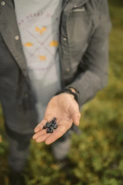 Pinewood Finnveden Trail Shirt Heren Shadow Blue (360) 7 Pinewood Finnveden Trail Shirt Heren Shadow Blue (360) -Sport Verkoop 3a68c839762405beb7bc18774e5e619a929c3349