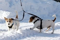 Baggen.se Coupler / Koppelstuk Verschillende Lengtes -Sport Verkoop 47017c41724d9a885db02c9578ebc06de1c720bb