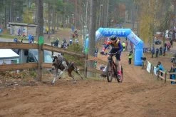 Non-stop Dogwear Non Stop Dogwear Bike Antenne Met Klickfix 13 Non-stop Dogwear Non Stop Dogwear Bike Antenne Met Klickfix -Sport Verkoop 470e4f0b0ad44dcc8a398a0e51096167c55a7808