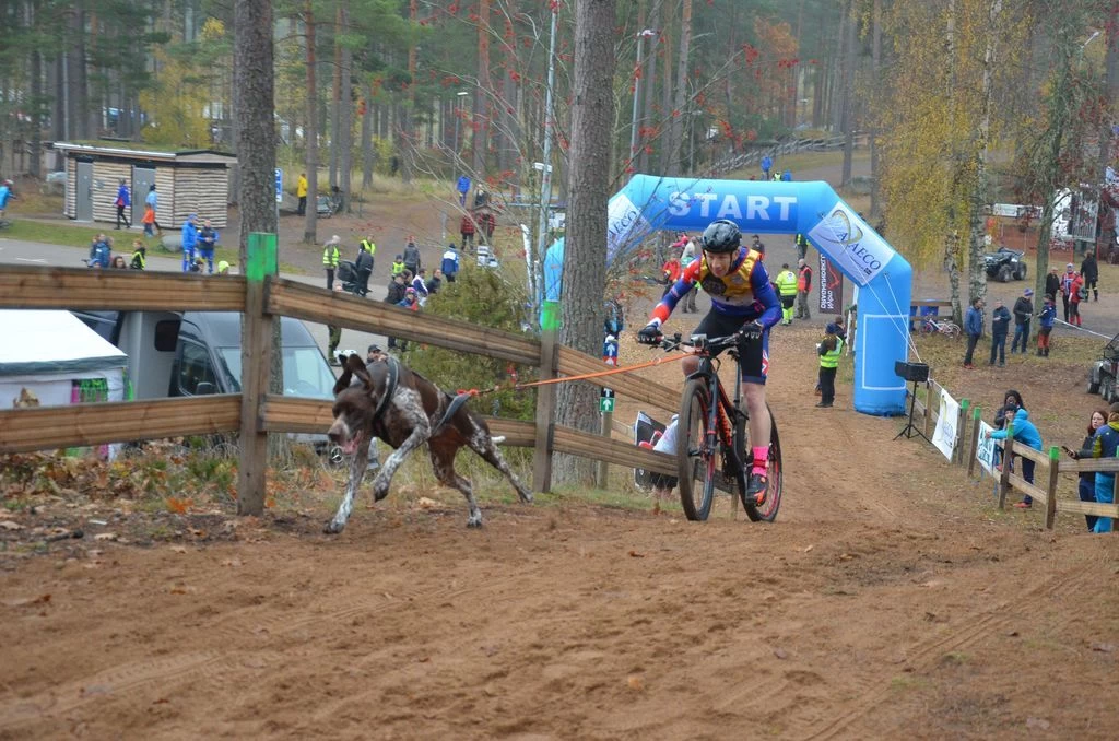 Non-stop Dogwear Non Stop Dogwear Bike Antenne Met Klickfix 8 Non-stop Dogwear Non Stop Dogwear Bike Antenne Met Klickfix - Afbeelding 6