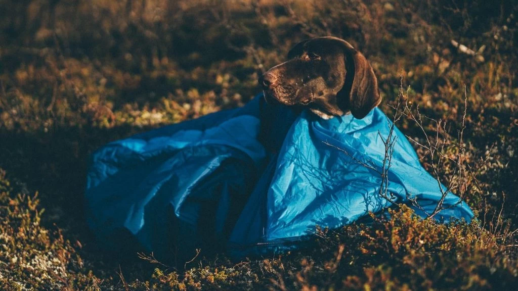 Non-stop Dogwear Non Stop Dogwear Ly Sleepingbag Slaapmat En Slaapzak 4 Non-stop Dogwear Non Stop Dogwear Ly Sleepingbag Slaapmat En Slaapzak - Afbeelding 2