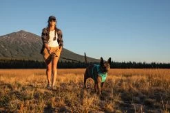 Ruffwear Front Range Harnas Aurora Teal 17 Ruffwear Front Range Harnas Aurora Teal -Sport Verkoop 516be5dea6730dbd78a236cc38d3d6ac1e50f0e8