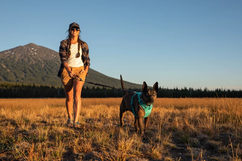 Ruffwear Front Range Harnas Aurora Teal 10 Ruffwear Front Range Harnas Aurora Teal - Afbeelding 8