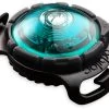 Orbiloc Dog Dual Light Turquoise -Sport Verkoop 56729a2b27ae4b7f9a03658720f3513d2eeff71f