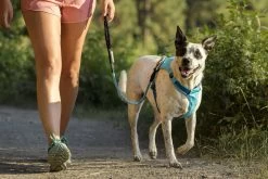 Ruffwear Hi & Light Harnas Blue Atoll -Sport Verkoop 5741e25882fb99da0f593a3b91594d6814ac9985