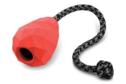 Ruffwear Huck-a-Cone Rood