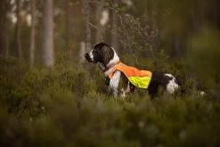 Non-stop Dogwear Non Stop Protection Vest -Sport Verkoop 587dd11edd77df7bfd907e23f6e610dd2dad2470