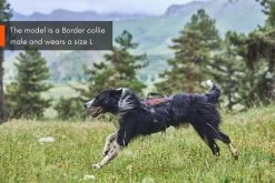 Non-stop Dogwear Non Stop Dogwear Rock Harnas LONG 16 Non-stop Dogwear Non Stop Dogwear Rock Harnas LONG -Sport Verkoop 5fba84231bc32f12cb6f66bd1d353331ec589017