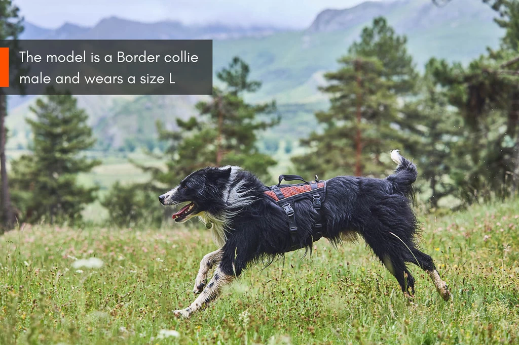 Non-stop Dogwear Non Stop Dogwear Rock Harnas LONG 9 Non-stop Dogwear Non Stop Dogwear Rock Harnas LONG - Afbeelding 7