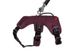Ruffwear Web Master Harnas ESCAPE PROOF Purple Rain -Sport Verkoop 60d74590490c877a66ac3aea980253a4b09b06a3