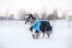 Non-stop Dogwear Non Stop Dogwear Alpha Pro Jacket Blauw -Sport Verkoop 60e4080de1b3cd645d5f2d8a09751ee6f51bb690