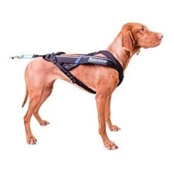Non-stop Dogwear Non Stop Dogwear Freemotion Harnas ZWART -Sport Verkoop 60f52064dcd0e00b5280de7fa9c78e88d3e89992