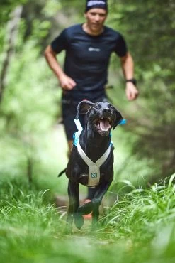 Non-stop Dogwear Non Stop Dogwear Freemotion Harnas 5.0 Blauw/Grijs -Sport Verkoop 624ba6d85c02580f0e147c8f48527841c50df78a