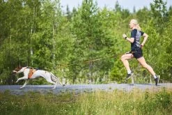 Non-stop Dogwear Non Stop Dogwear Freemotion Harnas 5.0 FEL ORANJE -Sport Verkoop 62eb99263f1e586a811ce96488a2b1abe5eb3fc2