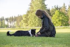 Pinewood Hondensport Trainings Vest Dames Mosgroen / Zwart (153) -Sport Verkoop 662adc1cfe8589175d513bc234c15cd9a3c737c2