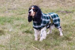 Siccaro Splash Lichtgewicht Bad & Droogjas -Sport Verkoop 66d8f87eb5293b9e7016ed4eb39fd0e2109fc635