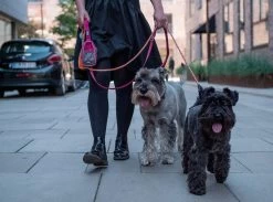 Dog Copenhagen Urban Freestyle Hondenriem Roze (2020) -Sport Verkoop 6a084399ccaff26553d1afd98894badd0e5e9a93