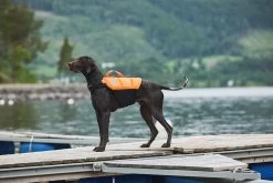 Non-stop Dogwear Non Stop Protector Life Jacket Zwemvest -Sport Verkoop 6a484eef286fd58e4ac2344d8a385ced6163916d