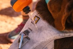 Ruffwear Swamp Cooler Cooling Dog Harnas Graphite Grey -Sport Verkoop 6d37b31e3aad9c128bfc323d455023708ddb9359