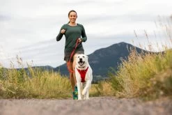 Ruffwear Front Range Harnas Red Sumac -Sport Verkoop 6ed066fdb3a7bc7b0f1e5e4566f35e24c0521e3c