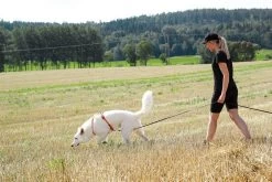 Non-stop Dogwear Non Stop Dogwear Line Harnas Fel Oranje -Sport Verkoop 7306a70e5b96f464a939f93a286e2f5847c0abff