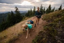 Ruffwear Switchbak Leash Rood -Sport Verkoop 768cb35af9c898ef83d9943a9967a2d5b770e997