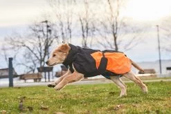 Non-stop Dogwear Non Stop Dogwear Glacier Jacket 2.0 Oranje/Zwart -Sport Verkoop 7ec4c31dc30c3ab47433c75040ed45fd131aee3f