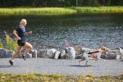 Non-stop Dogwear Non Stop Dogwear Freemotion Harnas 5.0 Roze/Grijs -Sport Verkoop 812e36bbd84f1d418756aa3c81c733d19991ebc8