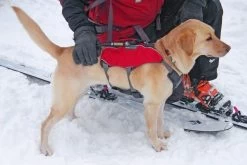 Ruffwear Brush Guard Buikbeschermer -Sport Verkoop 85342b836203ccf81a67b199221a586cca9d9d87