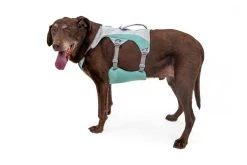 Ruffwear Swamp Cooler Cooling Dog Harnas Sage Green -Sport Verkoop 883c3650db1a83fd8a61ff3faebd375ed590b929