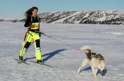 Baggen.se Softbelt Accesoires Voor De Heupgordel -Sport Verkoop 89fe2838dbd3ba56932fb3debaa7f3706e71d7d2