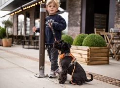 Dog Copenhagen Urban Rope Leash Oranje -Sport Verkoop 8b52de9eb418e01d1e149bf3175b45e2e91b6392